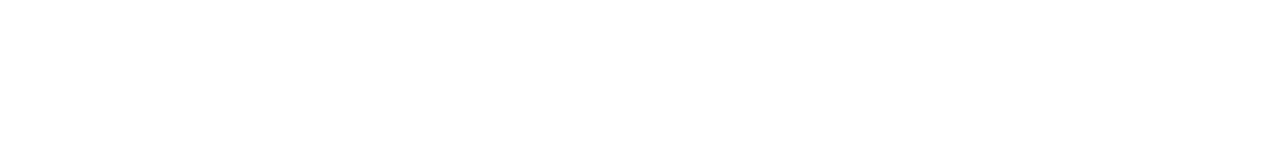 DUO Logo
